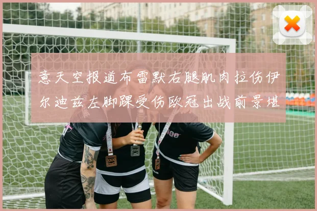 意天空报道布雷默右腿肌肉拉伤伊尔迪兹左脚踝受伤欧冠出战前景堪忧