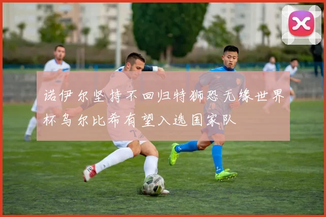 诺伊尔坚持不回归特狮恐无缘世界杯乌尔比希有望入选国家队