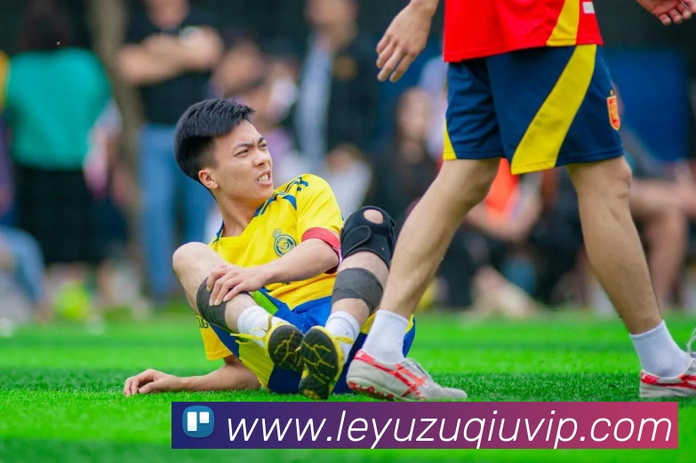 乐鱼体育品牌故事